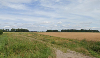 Parduodamas sklypas Kuršių g., Drevernos k., Klaipėdos r. sav., 38 a ploto 11