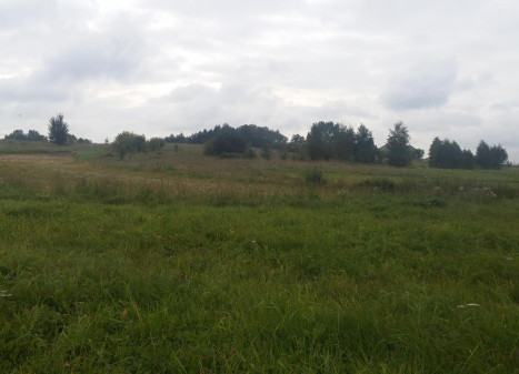 Parduodamas sklypas Takniškių g., Alytaus k., Alytaus r. sav., 27 a ploto