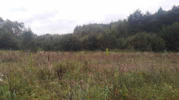 Parduodamas sklypas Takniškių g., Alytaus k., Alytaus r. sav., 27 a ploto 2
