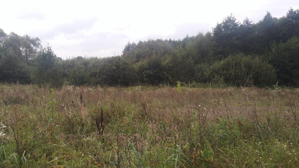 Parduodamas sklypas Takniškių g., Alytaus k., Alytaus r. sav., 27 a ploto 2