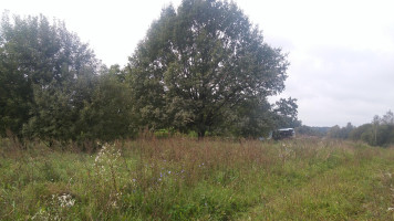 Parduodamas sklypas Takniškių g., Alytaus k., Alytaus r. sav., 27 a ploto 3