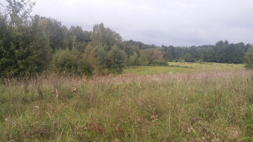 Parduodamas sklypas Takniškių g., Alytaus k., Alytaus r. sav., 27 a ploto 4