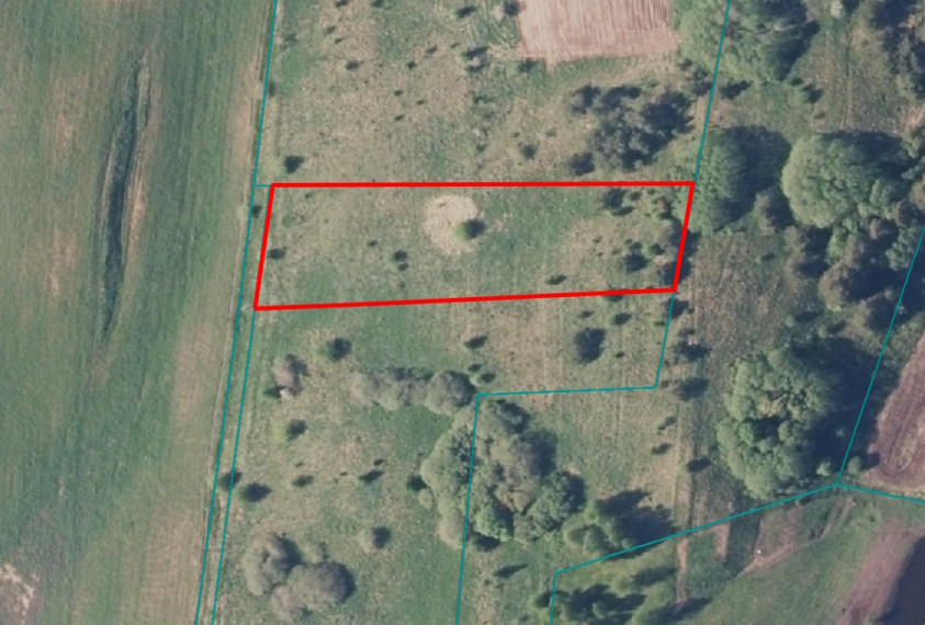 Parduodamas sklypas Salkininkų k., Trakų r. sav., 30 a ploto 4