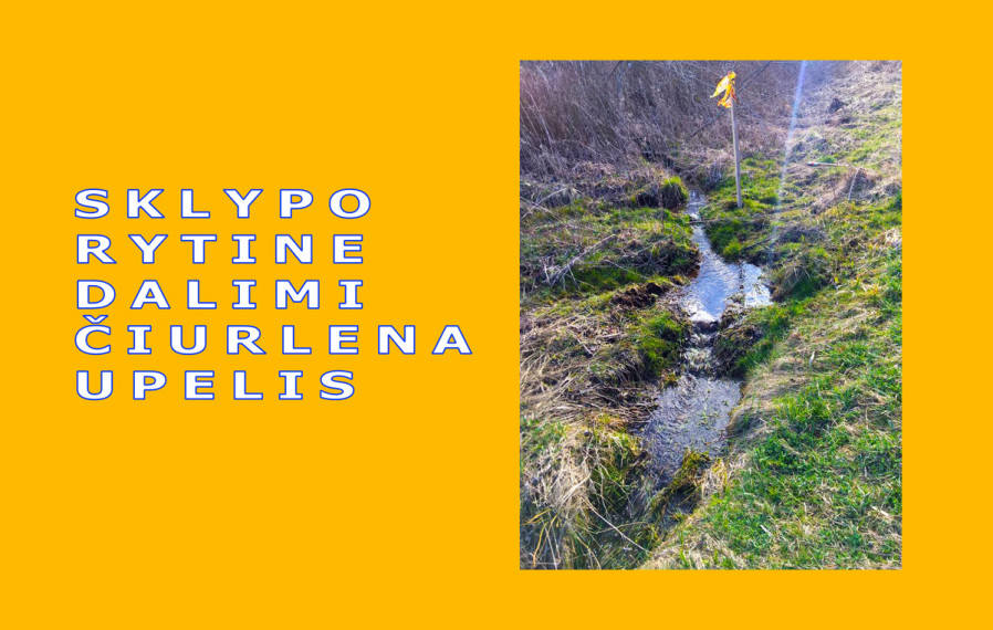 Parduodamas sklypas Alaušų g., Balninkų mstl., Molėtų r. sav., 137 a ploto 6