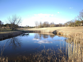 Parduodamas namas Melninkų k., Molėtų r. sav., 75 m² ploto 3 kambariai 21