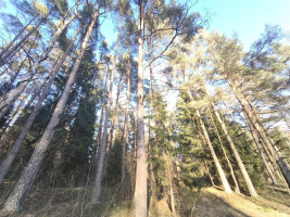 Parduodamas namas Melninkų k., Molėtų r. sav., 75 m² ploto 3 kambariai 24
