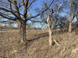 Parduodamas namas Liepų g., Airėnų I k., Vilniaus r. sav., 80.03 m² ploto 3 kambariai 14