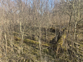 Parduodamas namas Liepų g., Airėnų I k., Vilniaus r. sav., 80.03 m² ploto 3 kambariai 11