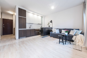 Nuomojamas butas  Juozo Balčikonio g., Baltupiai, Vilniaus m., Vilniaus m. sav., 33 m2 ploto, 1 kambariai 31