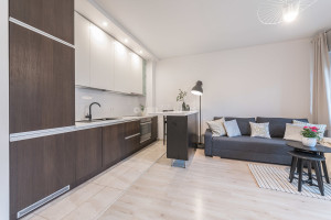 Nuomojamas butas  Juozo Balčikonio g., Baltupiai, Vilniaus m., Vilniaus m. sav., 33 m2 ploto, 1 kambariai 33