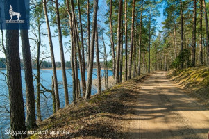 Parduodamas  sklypas Kirneilės k., Molėtų r. sav., 25.51 a ploto 17