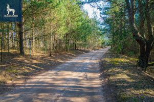 Parduodamas  sklypas Kirneilės k., Molėtų r. sav., 25.51 a ploto 23