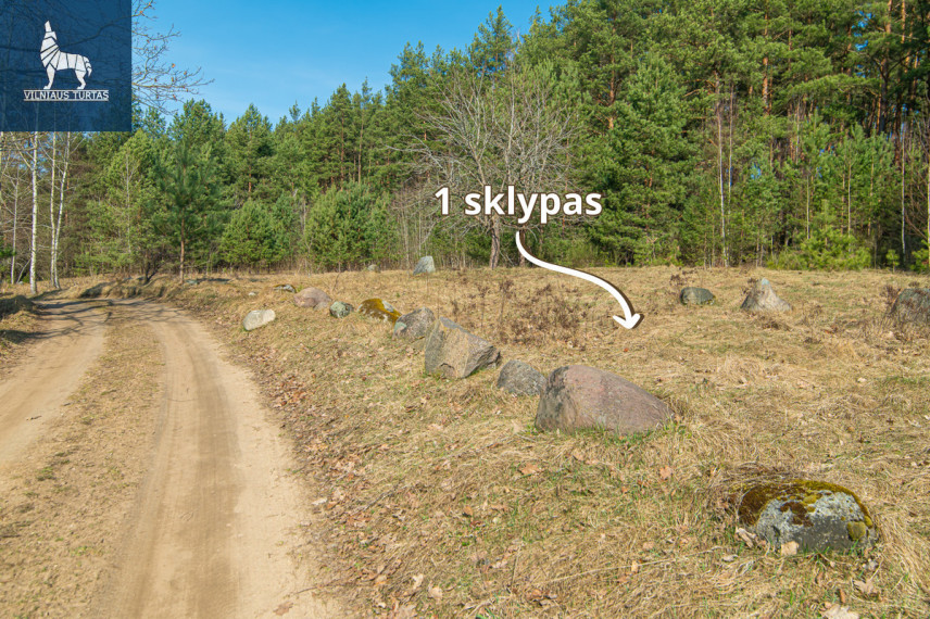 Parduodamas sklypas Kirneilės k., Molėtų r. sav., 25.51 a ploto 6