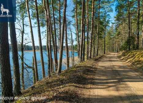 Parduodamas  sklypas Kirneilės k., Molėtų r. sav., 115 a ploto