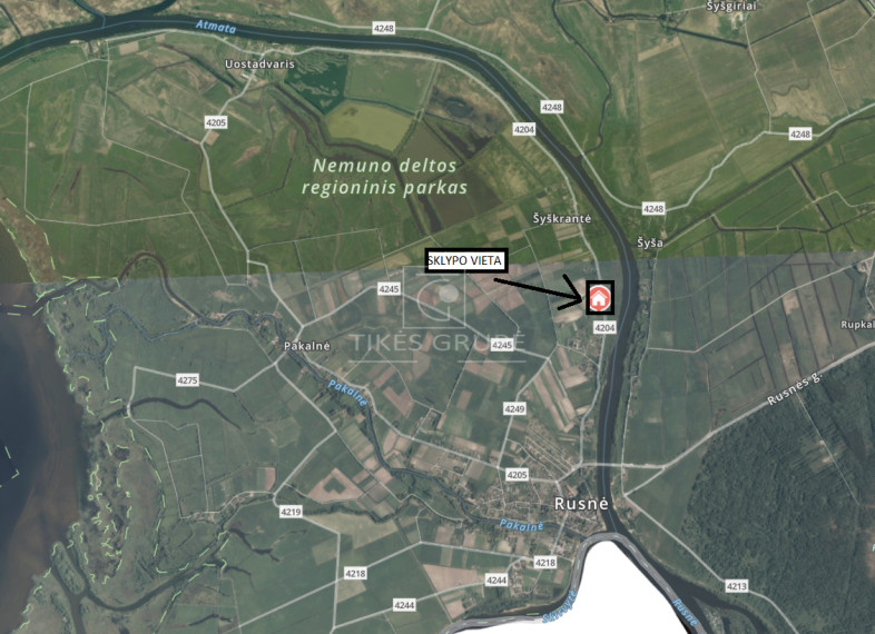Parduodamas sklypas Rusnės mstl., Šilutės r. sav., 82 a ploto 1