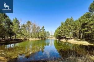 Parduodamas kitos paskirties sklypas Laukymės g., Kaubariškio k., Panevėžio r. sav., 6 a ploto 3