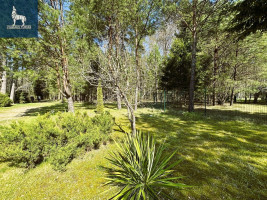 Parduodamas kitos paskirties sklypas Laukymės g., Kaubariškio k., Panevėžio r. sav., 6 a ploto 4