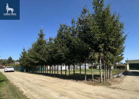Parduodamas kitos paskirties sklypas Laukymės g., Kaubariškio k., Panevėžio r. sav., 6 a ploto 7