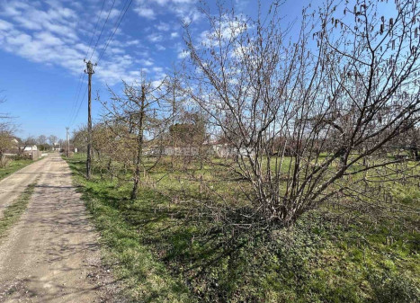 Parduodamas namų valdos paskirties sklypas Miglių g., Molainiai, Panevėžio m., Panevėžio m. sav., 5.53 a ploto
