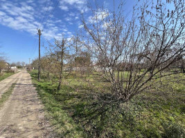 Parduodamas namų valdos paskirties sklypas Miglių g., Molainiai, Panevėžio m., Panevėžio m. sav., 5.53 a ploto 1
