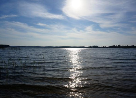 Parduodamas sklypas Skardžių k., Molėtų r. sav., 600 a ploto