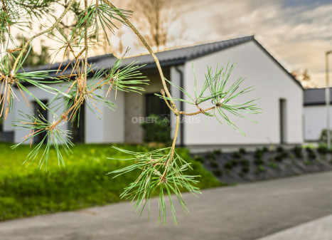Parduodamas namas Šv. Faustinos g., Skaidiškių k., Vilniaus r. sav., 110 m2 ploto, 1 aukštai