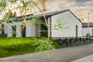 Parduodamas namas Šv. Faustinos g., Skaidiškių k., Vilniaus r. sav., 110 m2 ploto, 1 aukštai 1