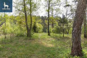 Parduodamas kitos paskirties sklypas Ožkinių g., Ožkiniai, Vilniaus m., Vilniaus m. sav., 15.06 a ploto 4