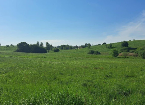 Parduodamas sklypas Pociūnų k., Širvintų r. sav., 120.00 a ploto
