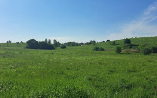 Parduodamas sklypas Pociūnų k., Širvintų r. sav., 120.00 a ploto 1