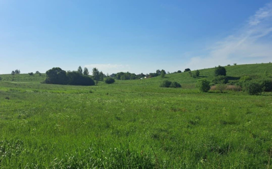 Parduodamas sklypas Pociūnų k., Širvintų r. sav., 120.00 a ploto 1
