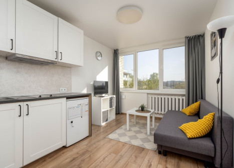 Parduodamas butas Birutės g., Žvėrynas, Vilniaus m., Vilniaus m. sav., 17.04 m2 ploto, 1 kambariai