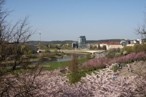 Parduodamas butas Birutės g., Žvėrynas, Vilniaus m., Vilniaus m. sav., 17.04 m2 ploto, 1 kambariai 22