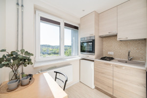 Nuomojamas butas Žirmūnų g., Žirmūnai, Vilniaus m., Vilniaus m. sav., 22 m2 ploto, 1 kambariai 13