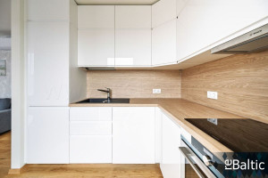 Nuomojamas butas Paribio g., Žvėrynas, Vilniaus m., Vilniaus m. sav., 44 m2 ploto, 2 kambariai 13