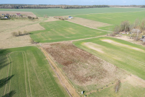 Parduodamas  sklypas Šalčininkų r. sav., Jaglimainių k., Vyšnių g., 36 a ploto 9