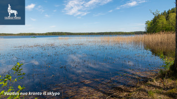 Parduodamas  sklypas Golbos k., Molėtų r. sav., 67 a ploto 9