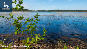 Parduodamas  sklypas Golbos k., Molėtų r. sav., 67 a ploto 10