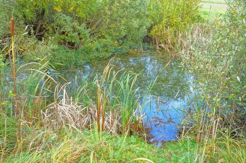 Parduodamas namas Prūčių k., Ignalinos r. sav., 132.00 m² ploto 3 kambariai 23