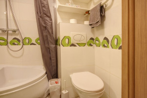 Nuomojamas butas Žirmūnų g., Žirmūnai, Vilniaus m., Vilniaus m. sav., 45 m2 ploto, 2 kambariai 12