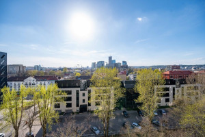 Parduodamas butas Rinktinės g., Šnipiškės, Vilniaus m., Vilniaus m. sav., 32.59 m2 ploto, 1 kambariai 9