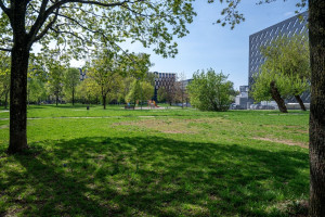 Parduodamas butas Rinktinės g., Šnipiškės, Vilniaus m., Vilniaus m. sav., 32.59 m2 ploto, 1 kambariai 34