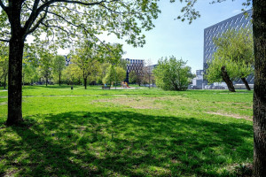 Parduodamas butas Rinktinės g., Šnipiškės, Vilniaus m., Vilniaus m. sav., 32.59 m2 ploto, 1 kambariai 35