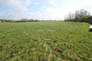 Parduodamas žemės ūkio paskirties sklypas Švyturio g., Šturmų k., Šilutės r. sav., 470.74 a ploto 11