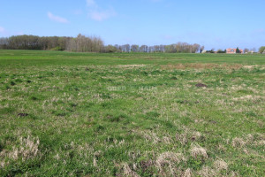 Parduodamas žemės ūkio paskirties sklypas Švyturio g., Šturmų k., Šilutės r. sav., 470.74 a ploto 12