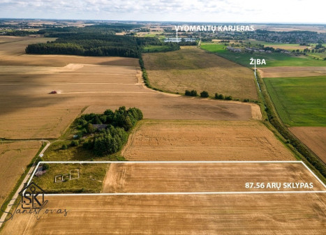 PARDUODAMAS 87.56 ARŲ SKLYPAS KIAULEIKIŲ K., KALVIO G. 15