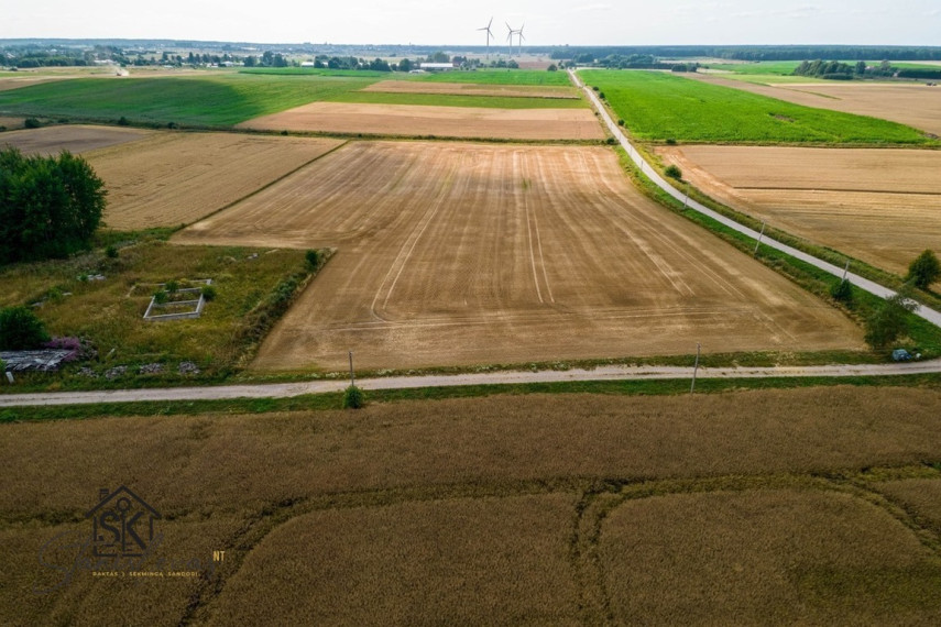 PARDUODAMAS 87.56 ARŲ SKLYPAS KIAULEIKIŲ K., KALVIO G. 15 5