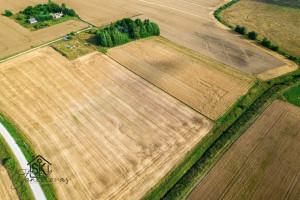 PARDUODAMAS 87.56 ARŲ SKLYPAS KIAULEIKIŲ K., KALVIO G. 15 8