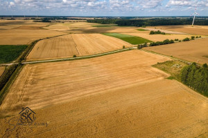 PARDUODAMAS 87.56 ARŲ SKLYPAS KIAULEIKIŲ K., KALVIO G. 15 10