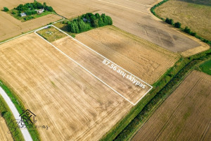 PARDUODAMAS 87.56 ARŲ SKLYPAS KIAULEIKIŲ K., KALVIO G. 15 11